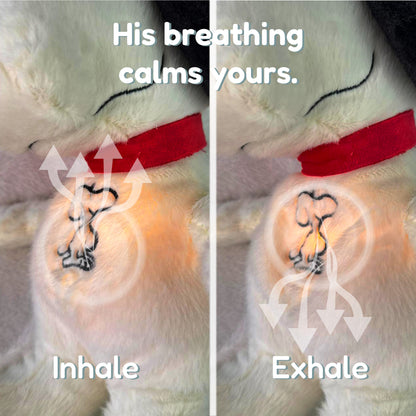Calming Breathing Plush for Anxiety & Better Sleep
